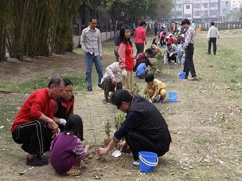 台南市東區植樹節活動民眾熱情參與...