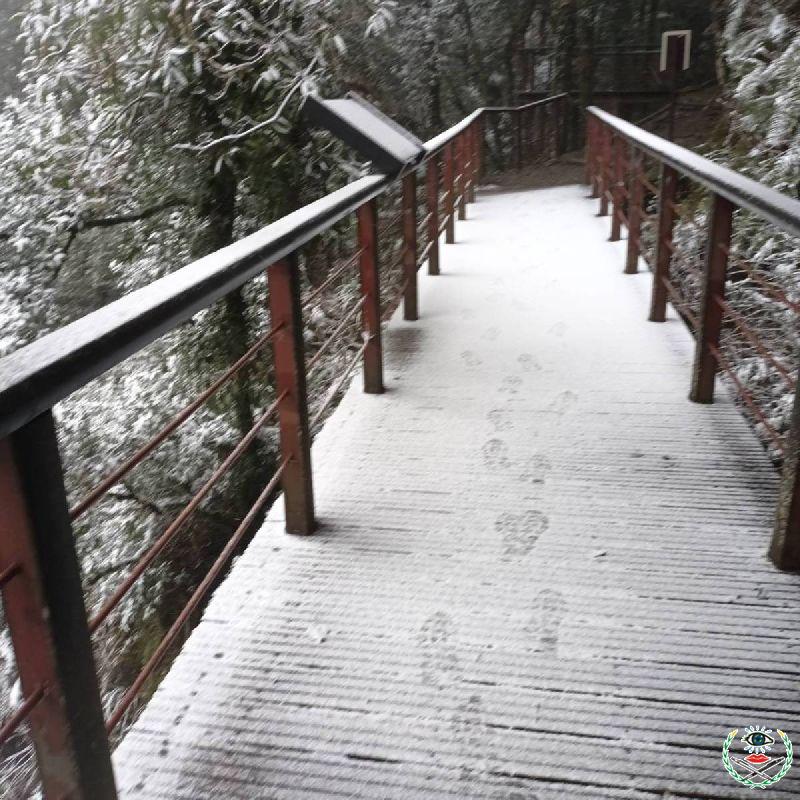 拉拉山國家森林遊樂區雪景01(林業保育署新竹分署提供).jpg