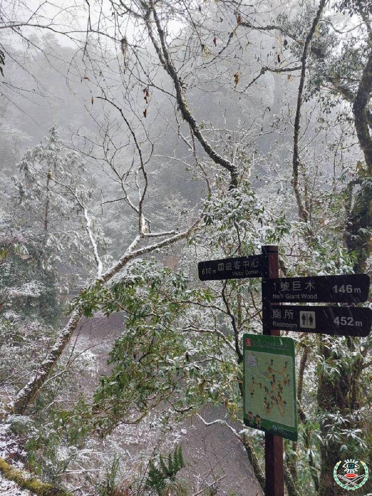 拉拉山國家森林遊樂區雪景06(林業保育署新竹分署提供).jpg