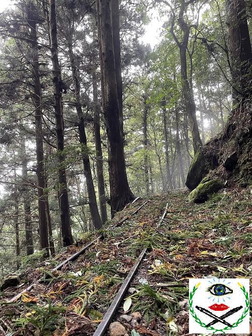 往昔林場台車遺跡(林業保育署新竹分署提供).jpg