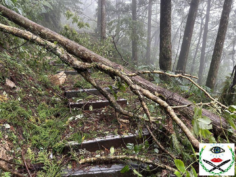 東眼山國家森林遊樂區風災影響狀況(新竹分署提供).jpg