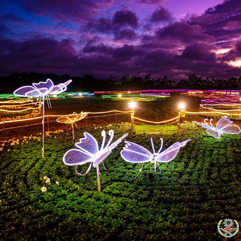 夜間蝴蝶燈飾搭配花海，點亮河濱公園.jpg